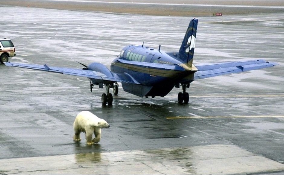 Alaska4
